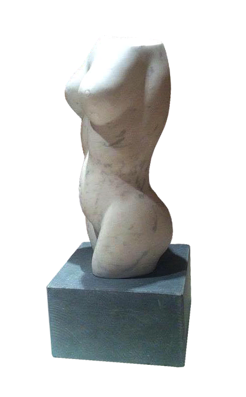 'Female Torso'